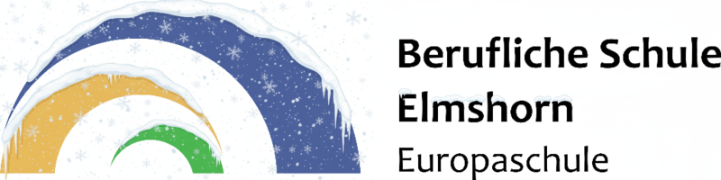 Berufliche Schule Elmshorn, Europaschule