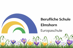 Berufliche Schule Elmshorn, Europaschule